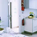 فيلة Royal Modern